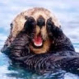 Meet your Posher, Vivian